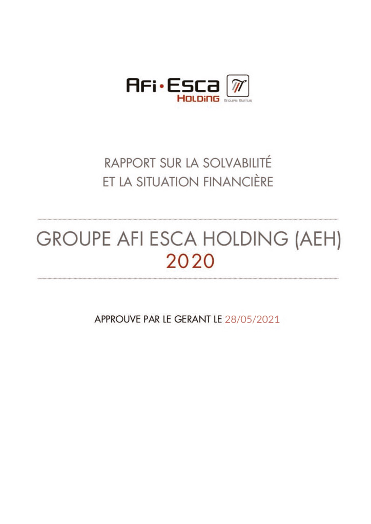 Rapport sur la solvabilité et la situation financière du Groupe Consolide 2020