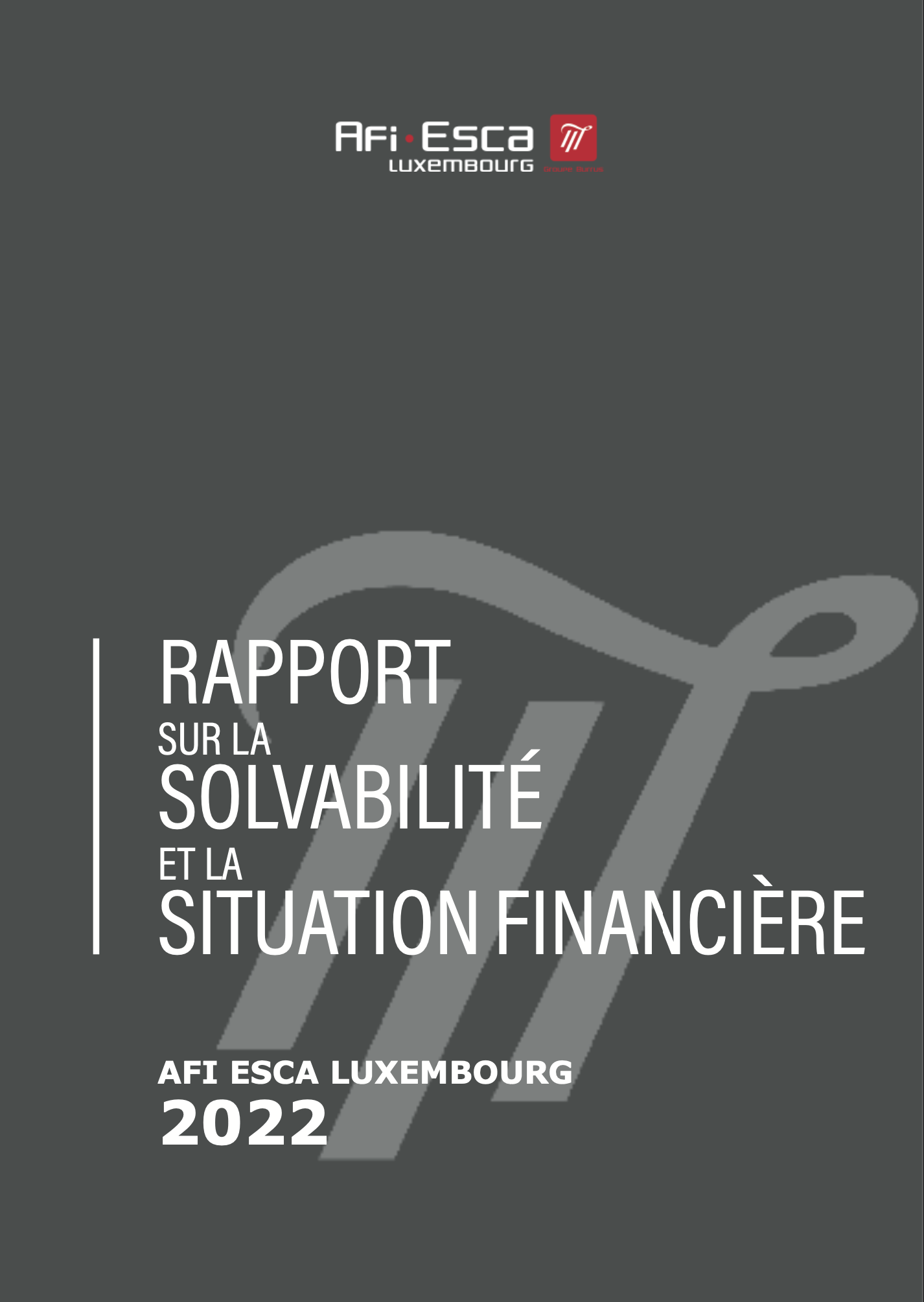 Rapport sur la solvabilité et la situation financière 2022