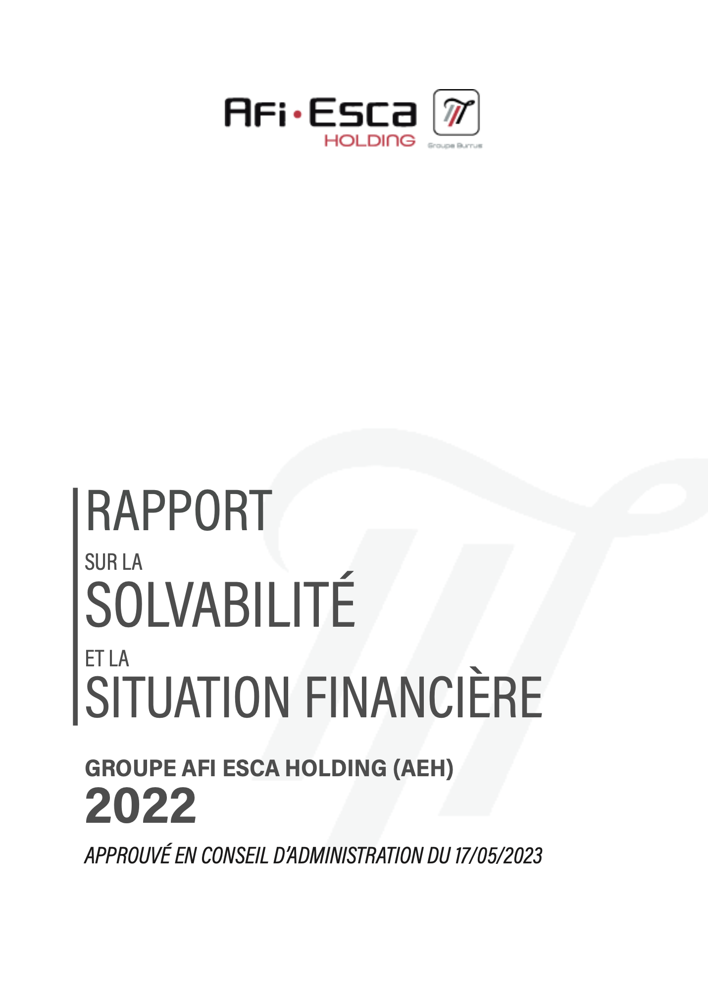 Rapport sur la solvabilité et la situation financière du Groupe Consolide 2022